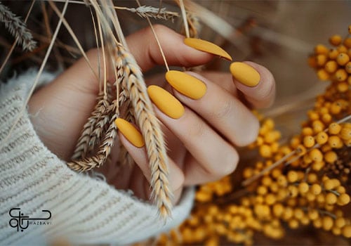 طرح ناخن پاییزی برداشت طلایی