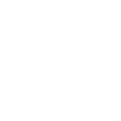 WhatsApp Icon